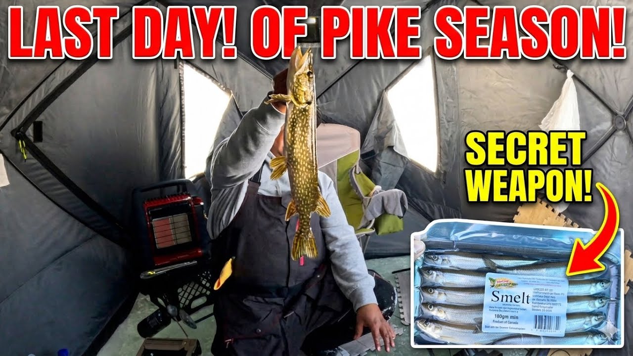 Pike Fishing & Chicken Taquitos: Ending the Season on Frozen Bait
