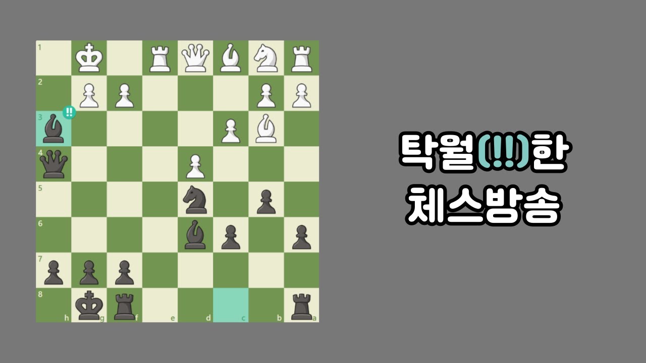 캠프파이어 체커연 이벤트 토너먼트 (260117)