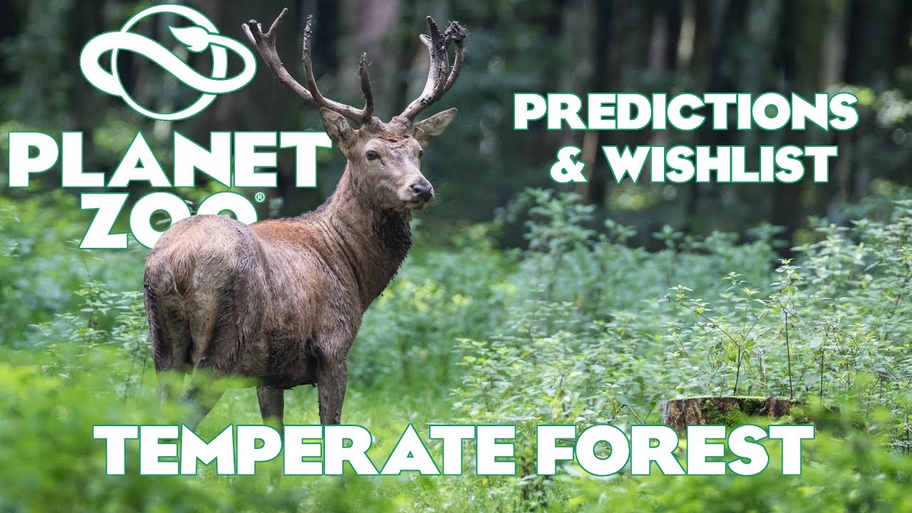 Planet Zoo: Predictions and Wishlist - Temperate Forest