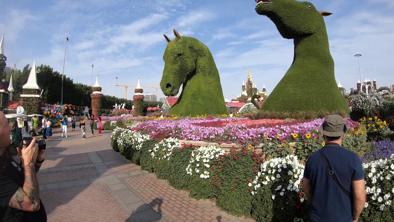 ZEMI Dubai Miracle Garden 2020