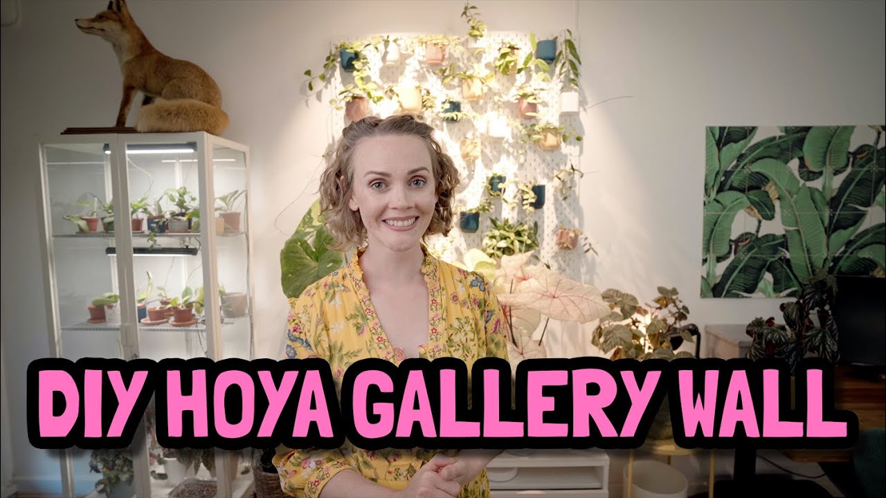 DIY HOYA GALLERY WALL | LIVING WALL ART