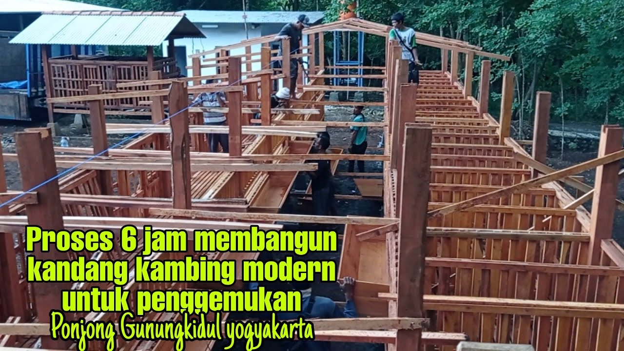 Proses 6 jam membangun kandang kambing megah untuk penggemukan