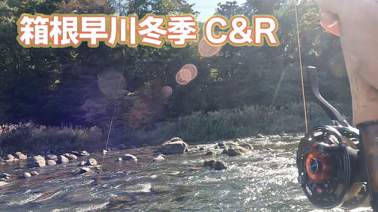 【フライフィッシング】ユーロニンフィングで狙う！箱根早川冬季C&R 2023