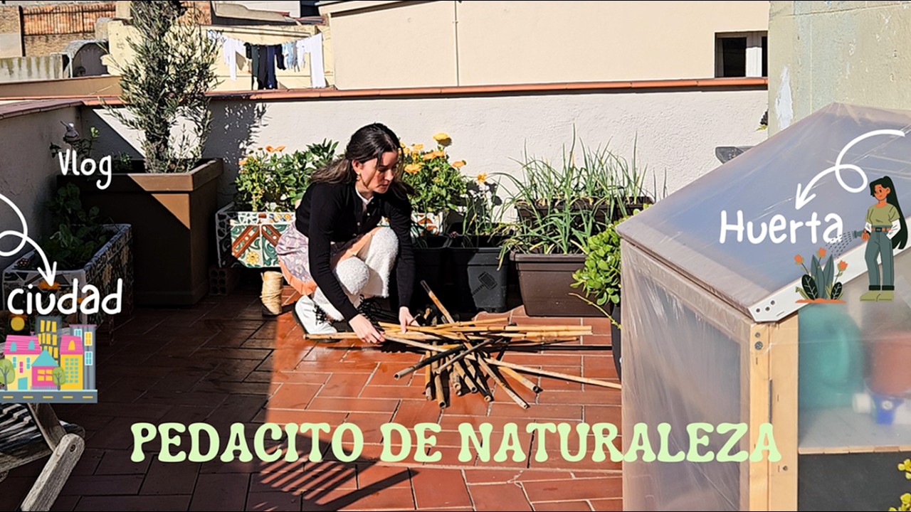 🪄DÍAS de CALMA y actividades PRODUCTIVAS en la TERRAZA.