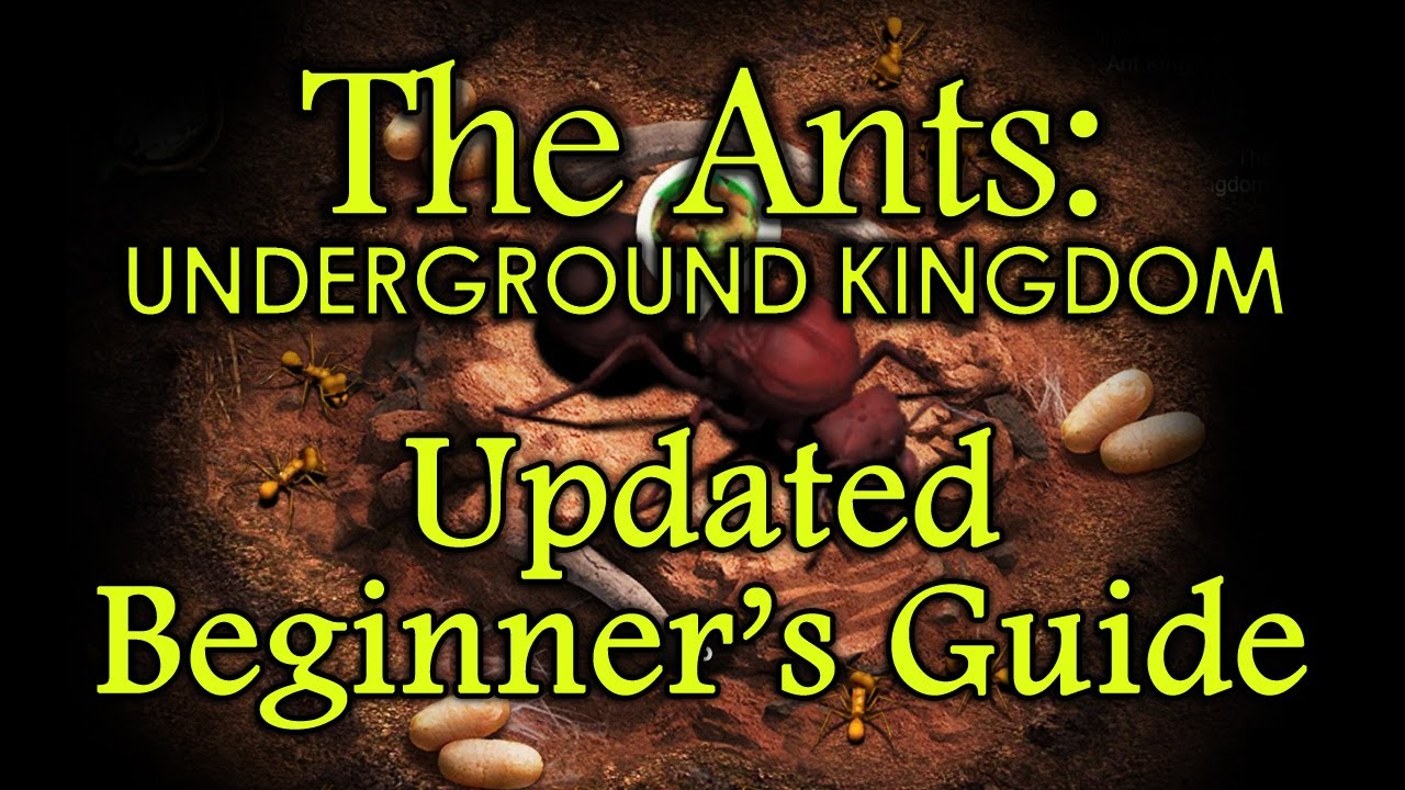 The Ants: Underground Kingdom - Updated Beginner's Guide