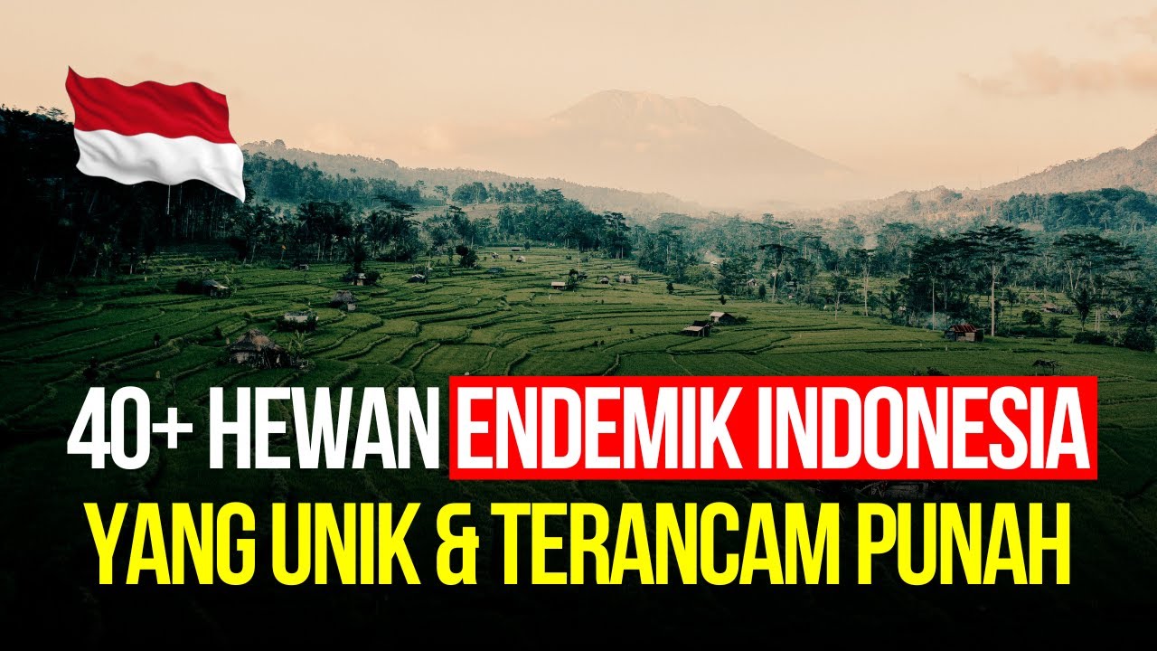 40+ Эндемичных Животных 🇮🇩 (Только в ИНДОНЕЗИИ)