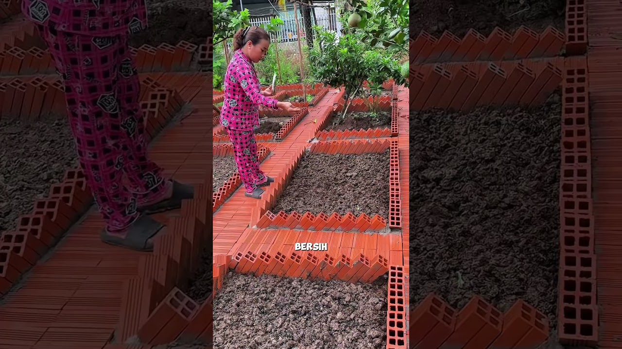 Kreatif ! Kebun belakang Rumah yang indah dan asri #fblifestyle #pertanian
