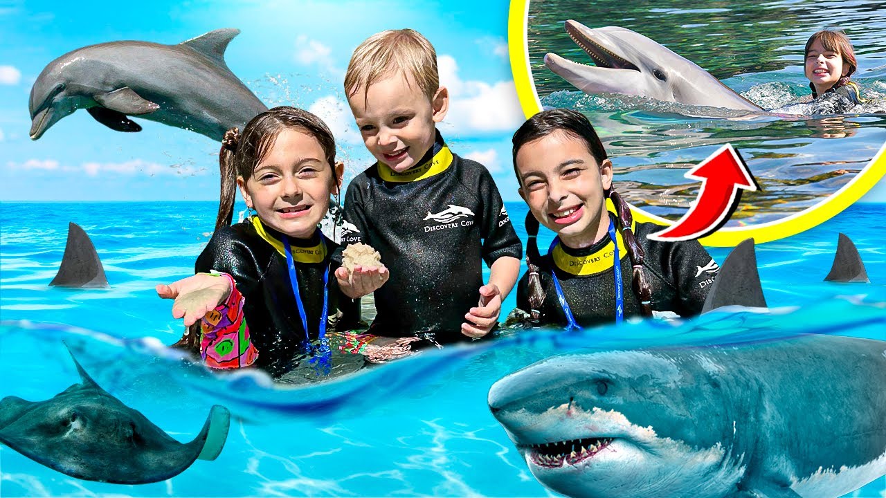 Nadamos com GOLFINHOS, arraias e TUBARÕES nos ESTADOS UNIDOS - DISCOVERY COVE