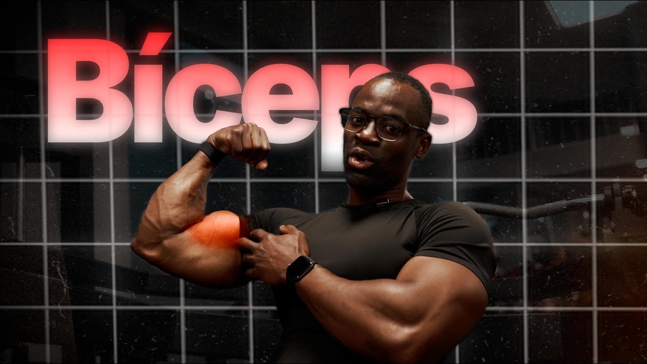 FORÇA, TÉCNICA e ORGANIZAÇÃO no TREINO | Treino de Ombros e Braços #treino #musculação