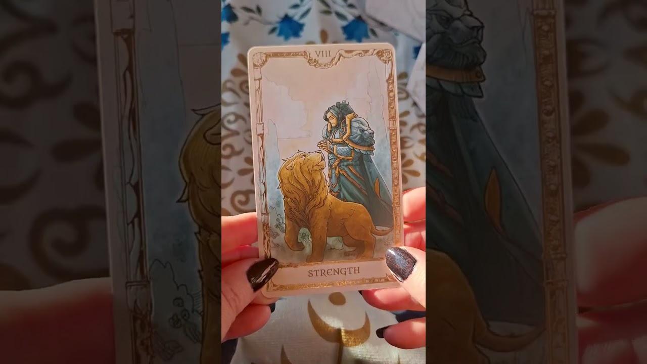 World of Warcraft Tarot unboxing and flip through
