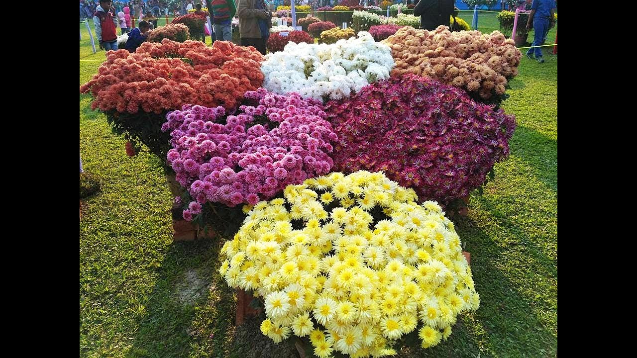 New Barrackpore Municipality Presents - New Barrackpore Flower Show 2026
