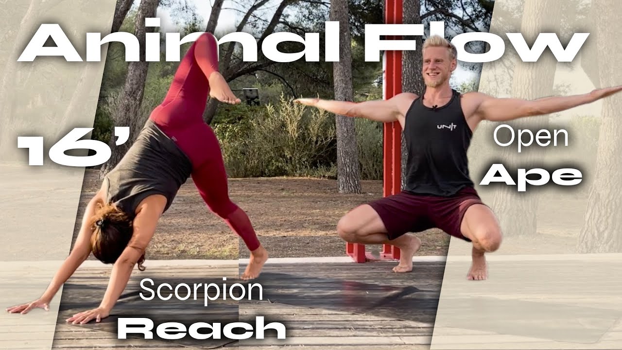 Animal Flow® - Les Bases - Open APE et Scorpion Reach - Faire du sport en s’amusant