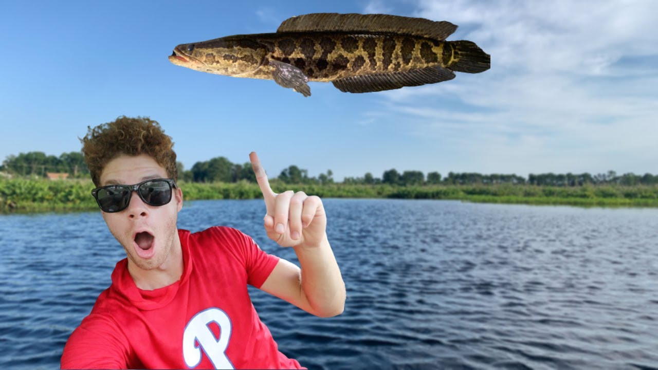 Snakehead Fishing in the Wind (Worth it?)