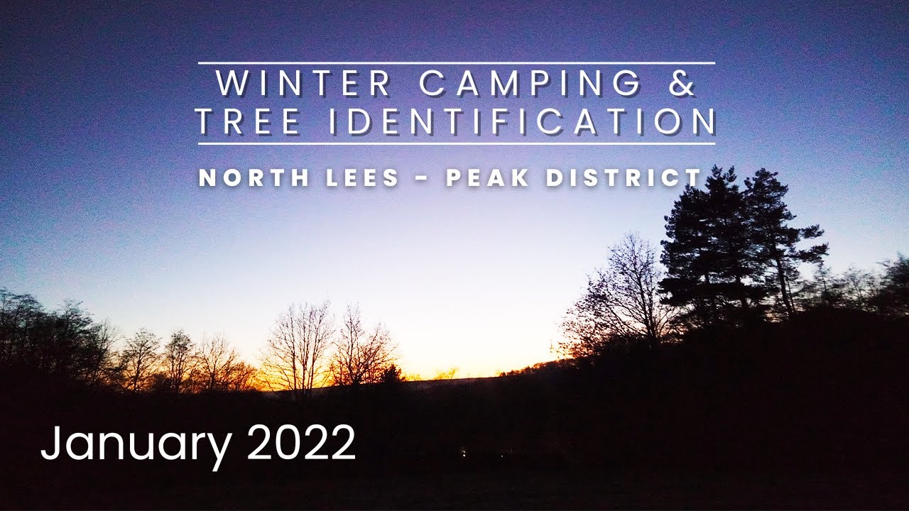 Winter Camping & Tree Identification | North Lees - Peak District