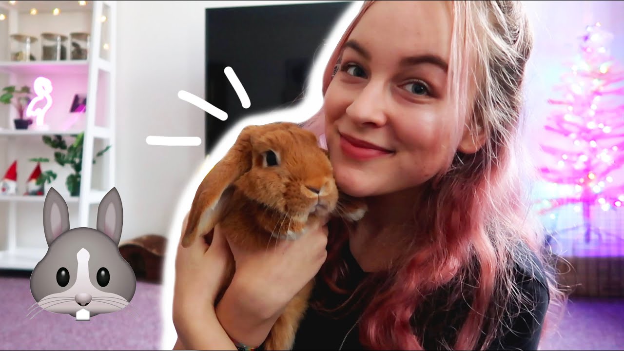 Chci dalšího králíčka? Bunny QnA feat. Bella! 🐰- krmení, hračky, záchůdek a mnohem víc!