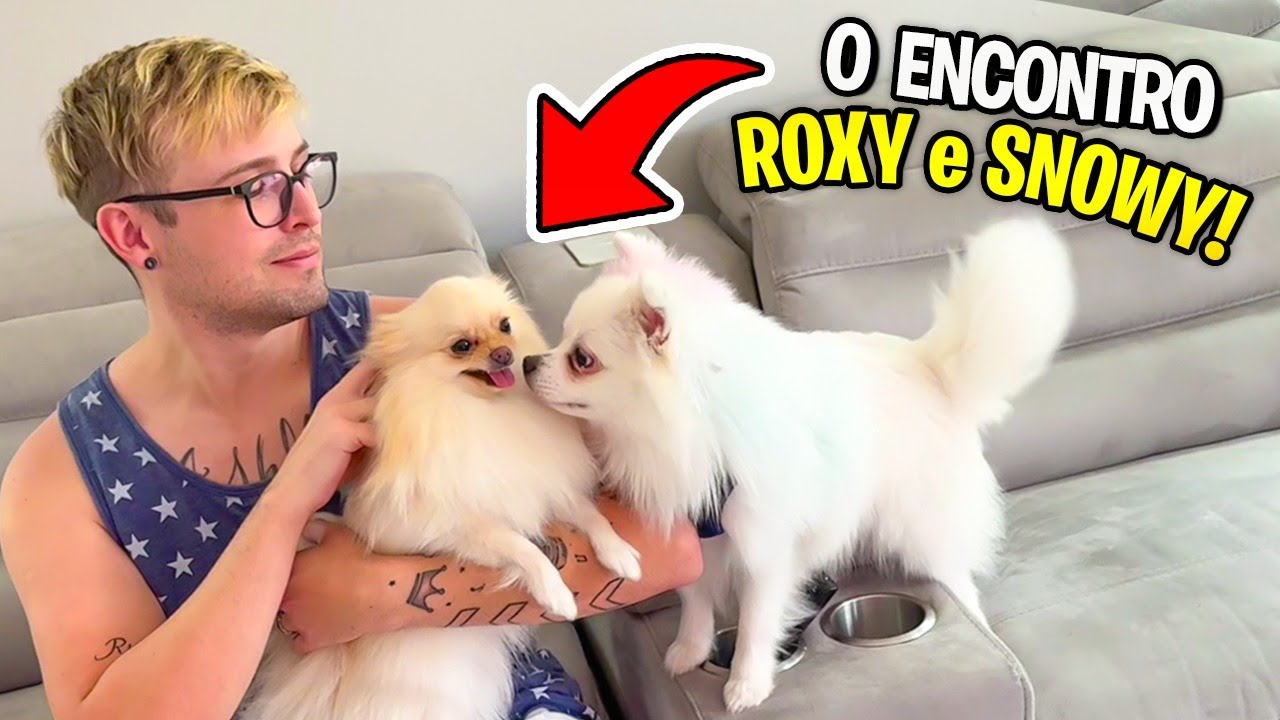 A NOSSA CACHORRINHA ROXY ENCONTROU o SNOWY pela PRIMEIRA VEZ! VAI DAR NAMORO? Pai Também Vloga