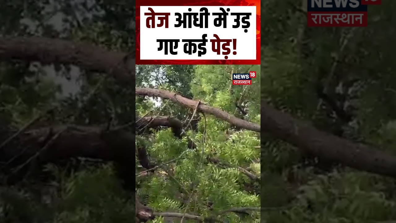Mausam News Today : तेज अंधड़ के कारण कई पेड़ हुए धराशायी |Weather Alert | Rajasthan Weather | N18S
