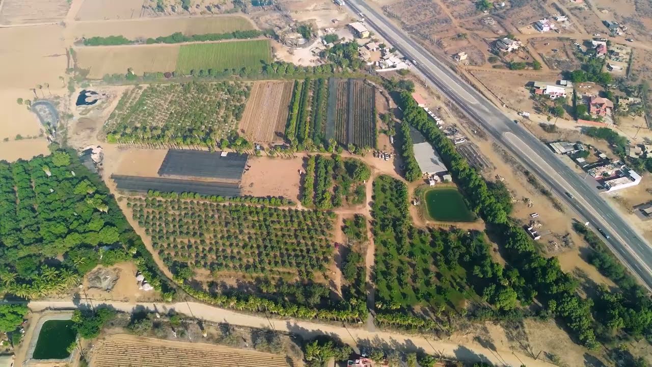 Organic Farm for Sale in Baja California Sur | 18.7 Acre Ranch in El Pescadero | Rancho Las Marias