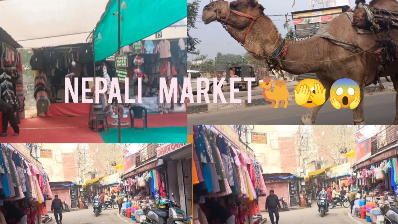 Vlog 10)Explore Chomu city 🏙️