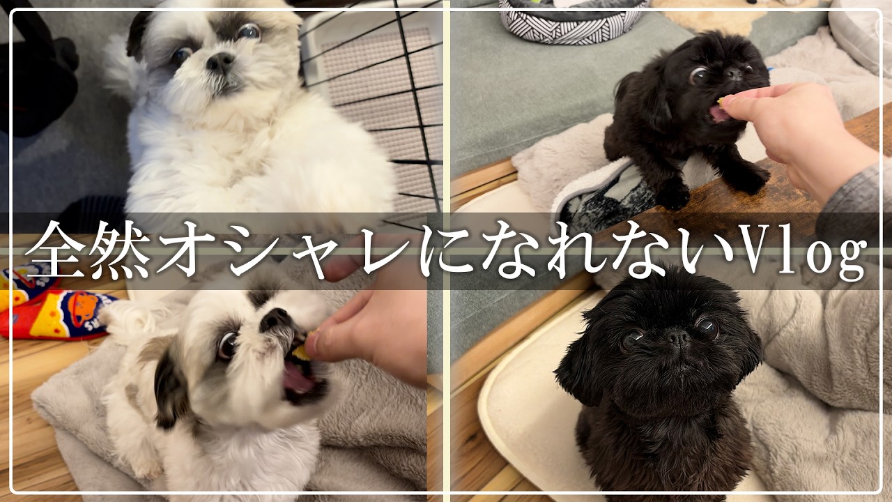 【Vlog】全然オシャレになれない系Vlog