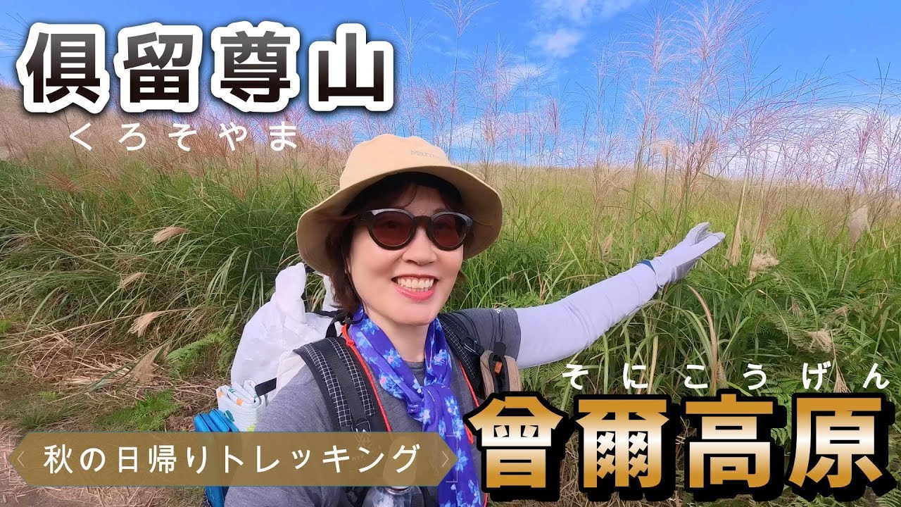 【曽爾高原】黄金のススキ野原を歩く！倶留尊山への絶景ハイクと駐車場情報を解説【奈良】