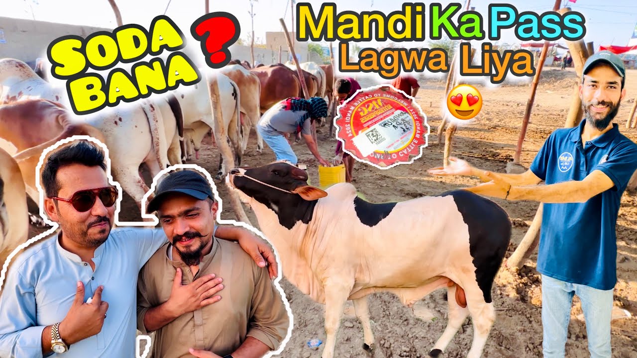 Punjab Kay Farmers Agae Unko Karachi Mandi Lay Gae | Kitnay Soday Banae? | Northern Bypass Mandi