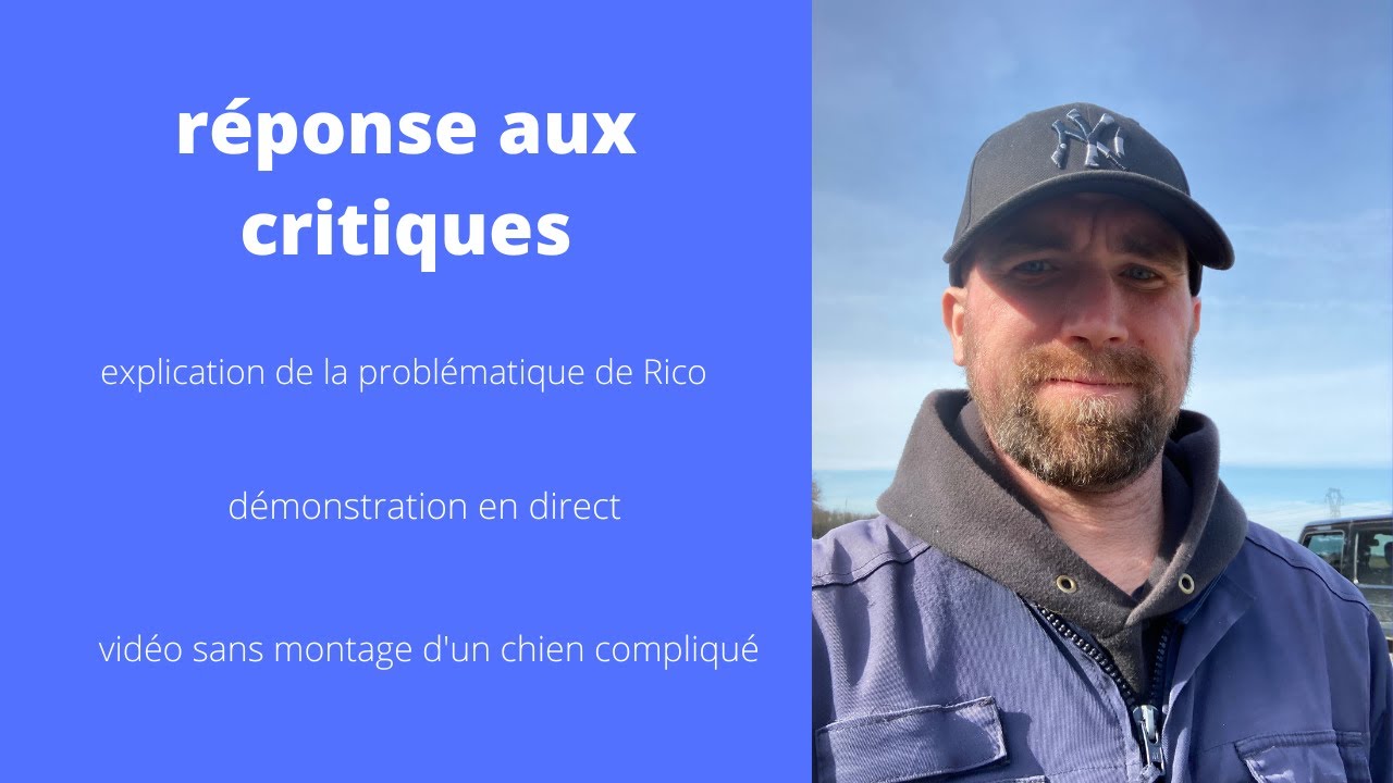 Réponse aux critiques en direct avec Rico ( chien agressif ) #malinois #dangereux #reeducation
