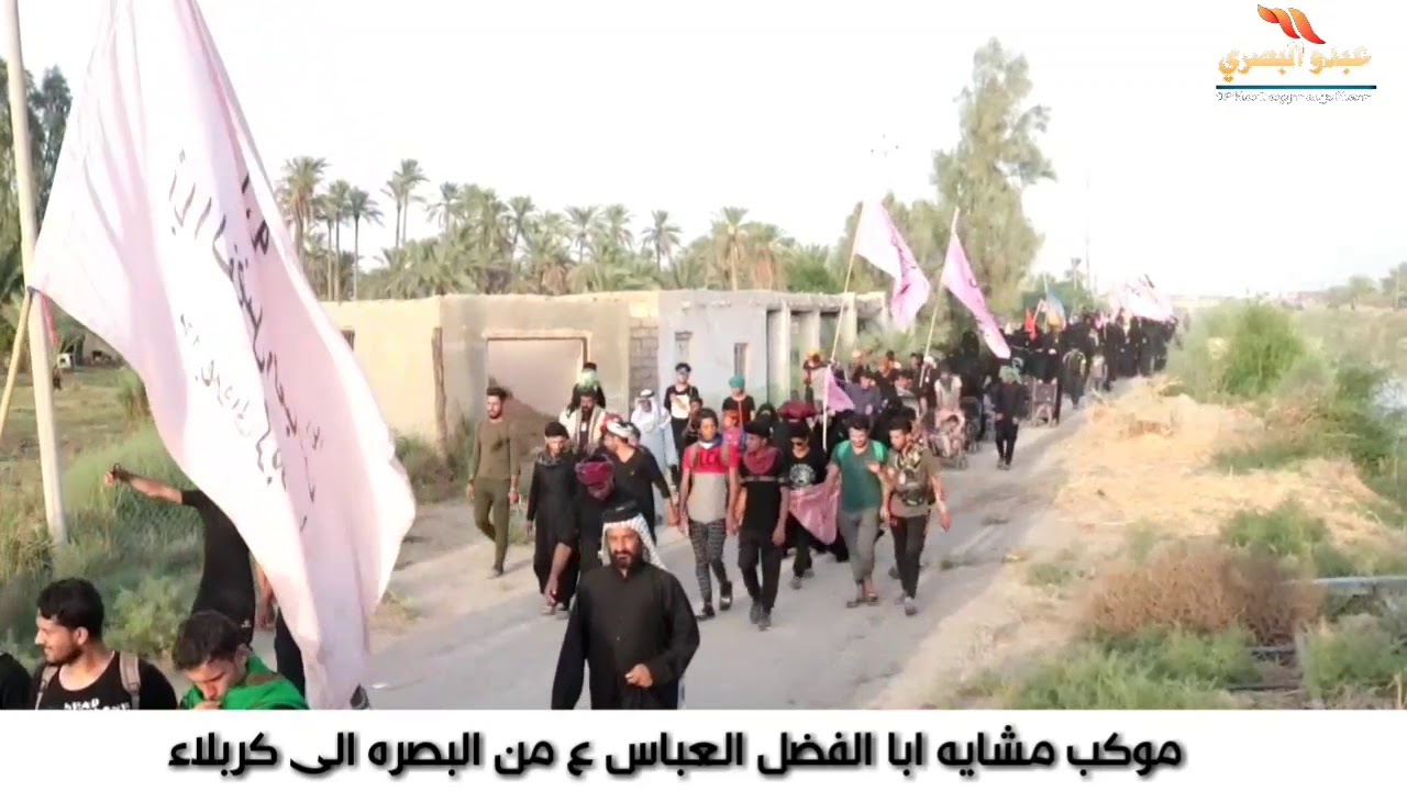 دخول موكب مشايه ابا الفضل العباس ع من البصره الى كربلاء منطقه الدغاره الديوان