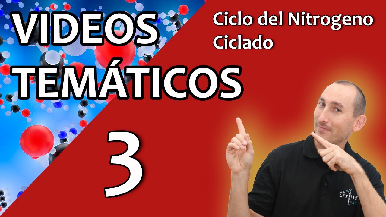 CICLADO DEL ACUARIO, ¿Cómo ciclar el acuario?