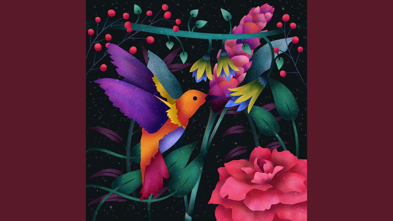 Levels of Comfortability / Scars