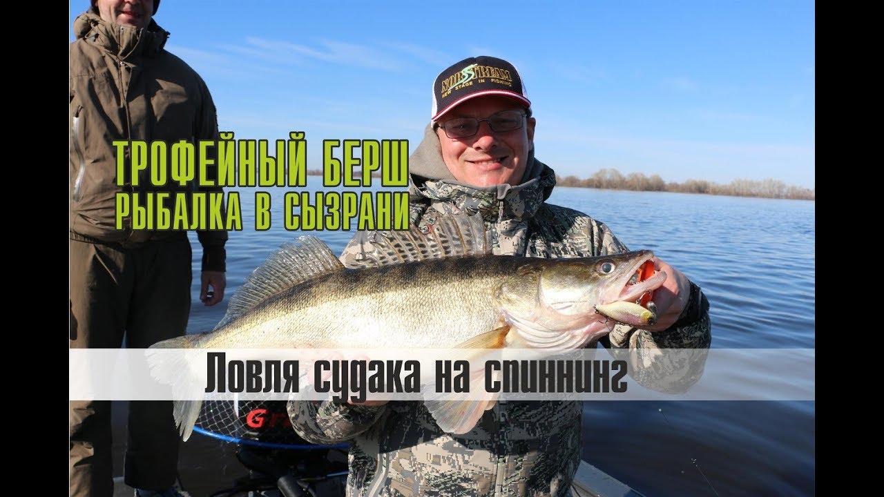 Ловля судака на спиннинг весной перед запретом. ТРОФЕЙНЫЙ БЕРШ на раттлин JACKALL TN70 TRIGON