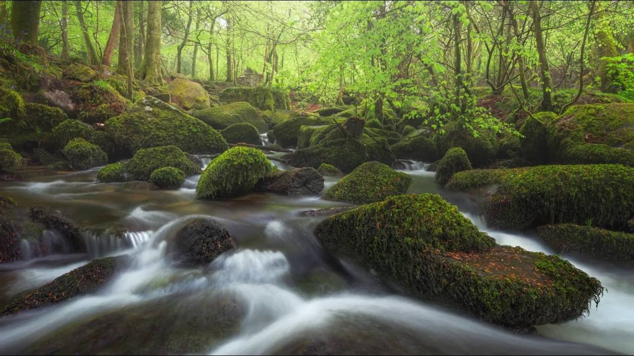Photographing Kennall Vale