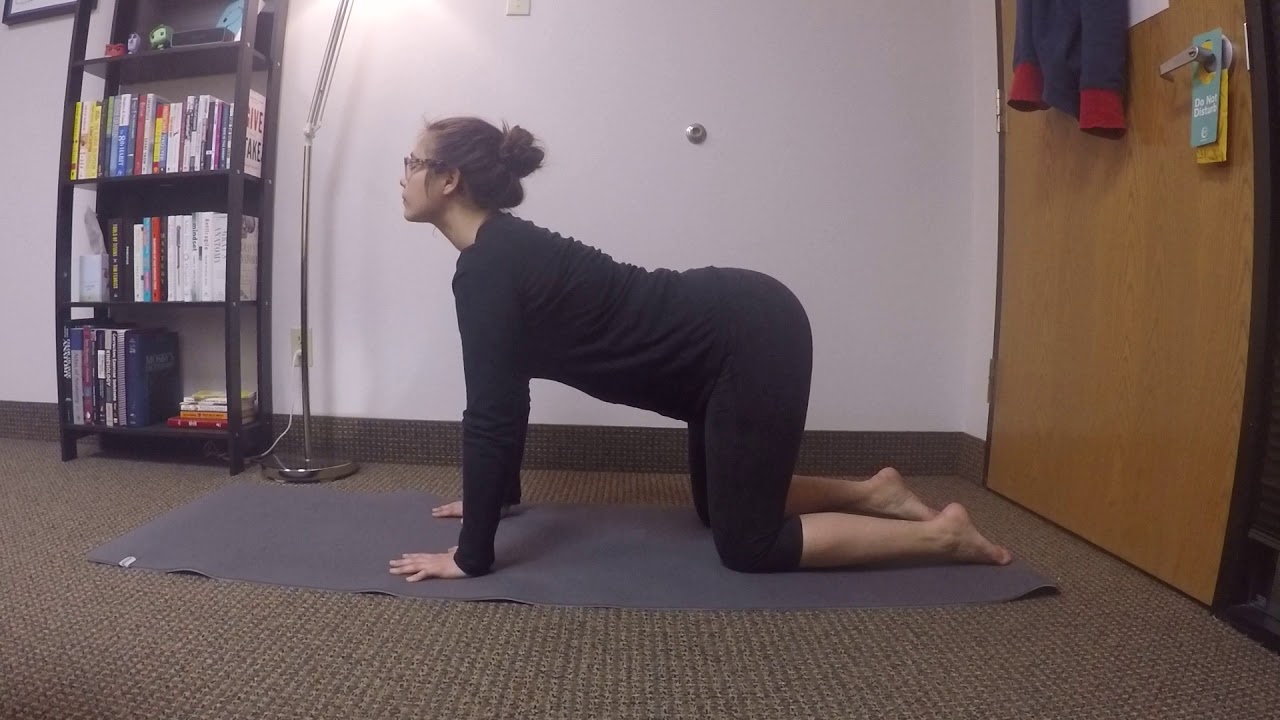 Spinal Motion Increases Without Practicing Cat-Cow Yoga Pose