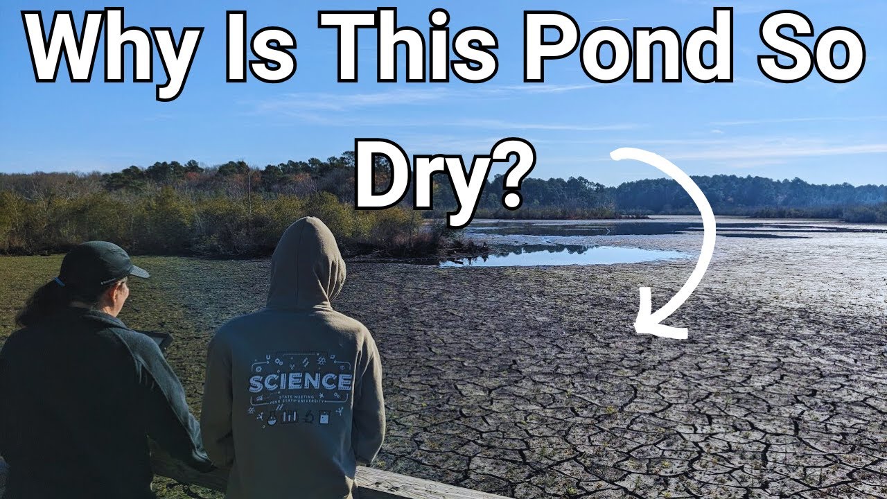 Hiking Around Prime Hook - Why is This Pond So Dry?