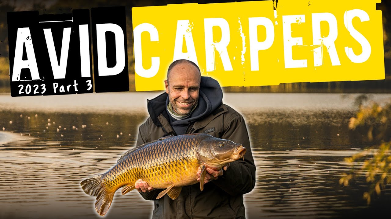 AVID CARPERS 2023! (Part 3) | Day-Session Carp Fishing with Dean Macey (Blasford Hill Fishery)