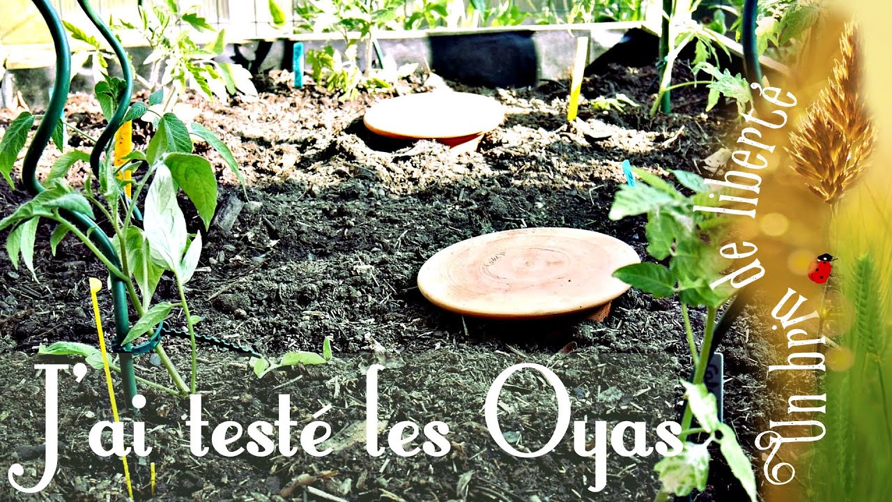 ⚱️J'ai testé les Oyas - Carrés potagers bio - ⚱️