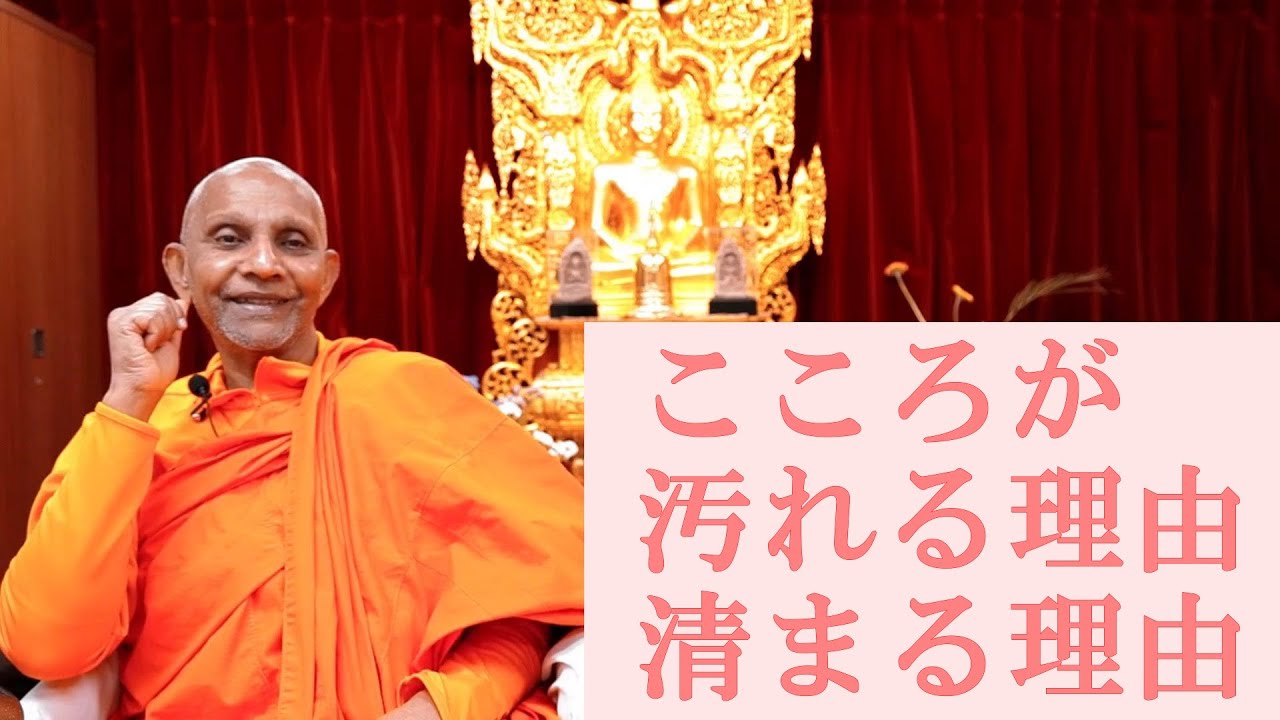 こころが汚れる理由／清らかになる理由｜スマナサーラ長老のパーリ経典解説（３つの「マハーリ経」を読む３） #初期仏教 #原始仏典 #jtba