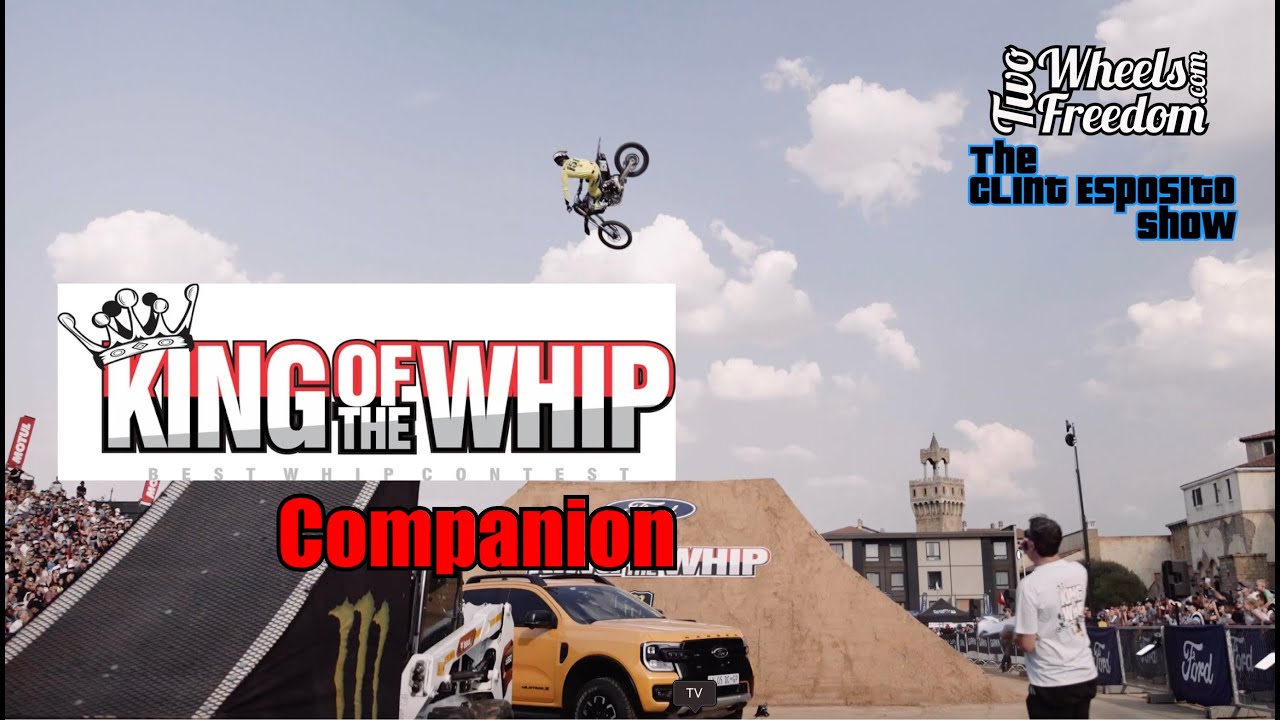 Companion King of The Whip 2023
