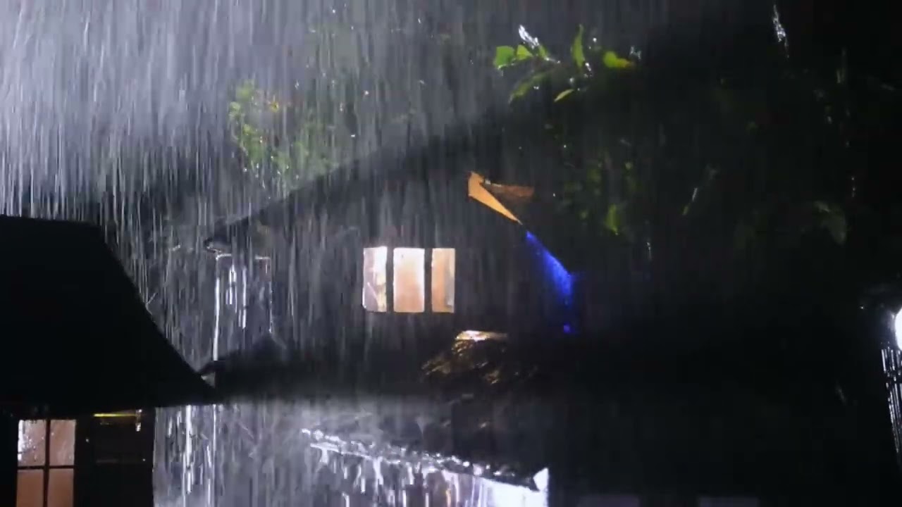 Heavy Rain on Leaves – Natural White Noise for Sleep