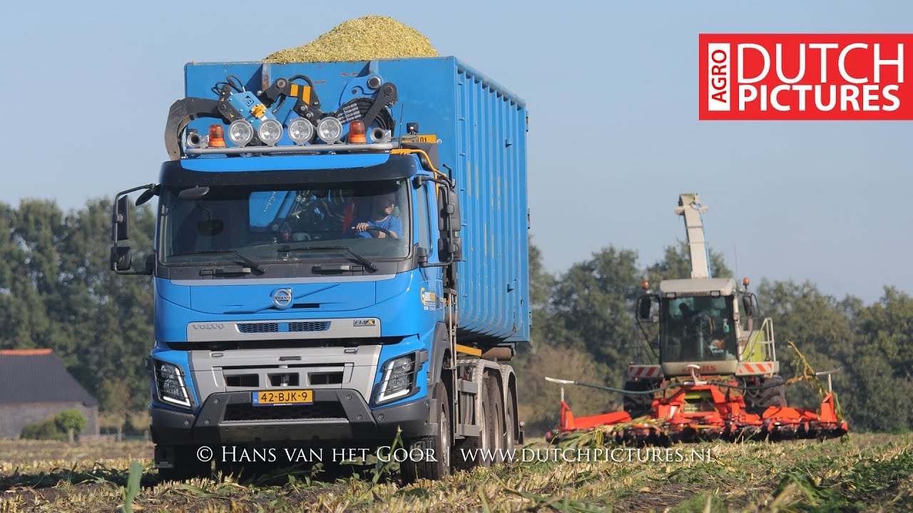 Mais hakselen 2017 | Claas Jaguar 890 Green Eye + Trucks! | Groot Zevert | Chopping maize | Häckseln