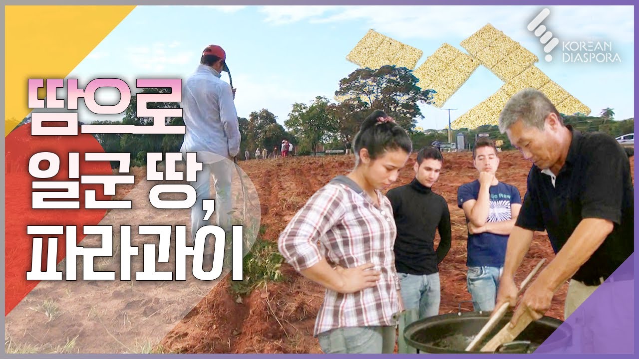 땀으로 일군 땅, 파라과이 |  [6시 내고향 160520 KBS방송]
