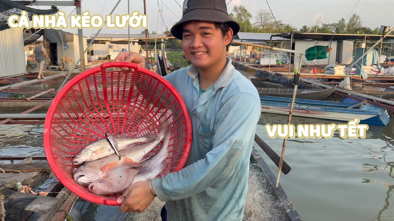 Đại gia đình cùng chú Thuận kéo lưới neo. Trúng basa với cá sủ #ngườiđồngtháp