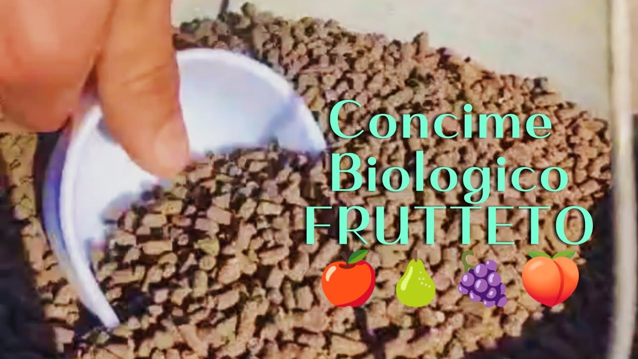 Come concimare le piante da frutto 🍎🍐🍑 e non solo