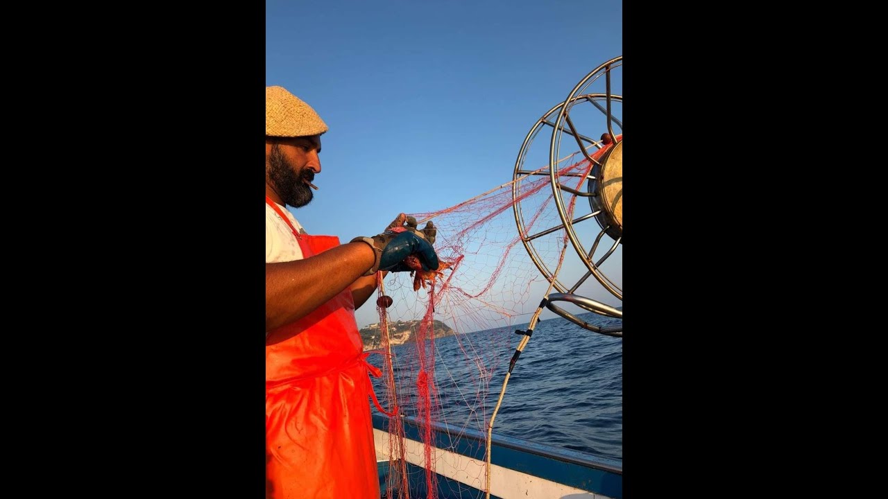 Mediterraneo, una terra di vita - Domenico Schiano, pescatore