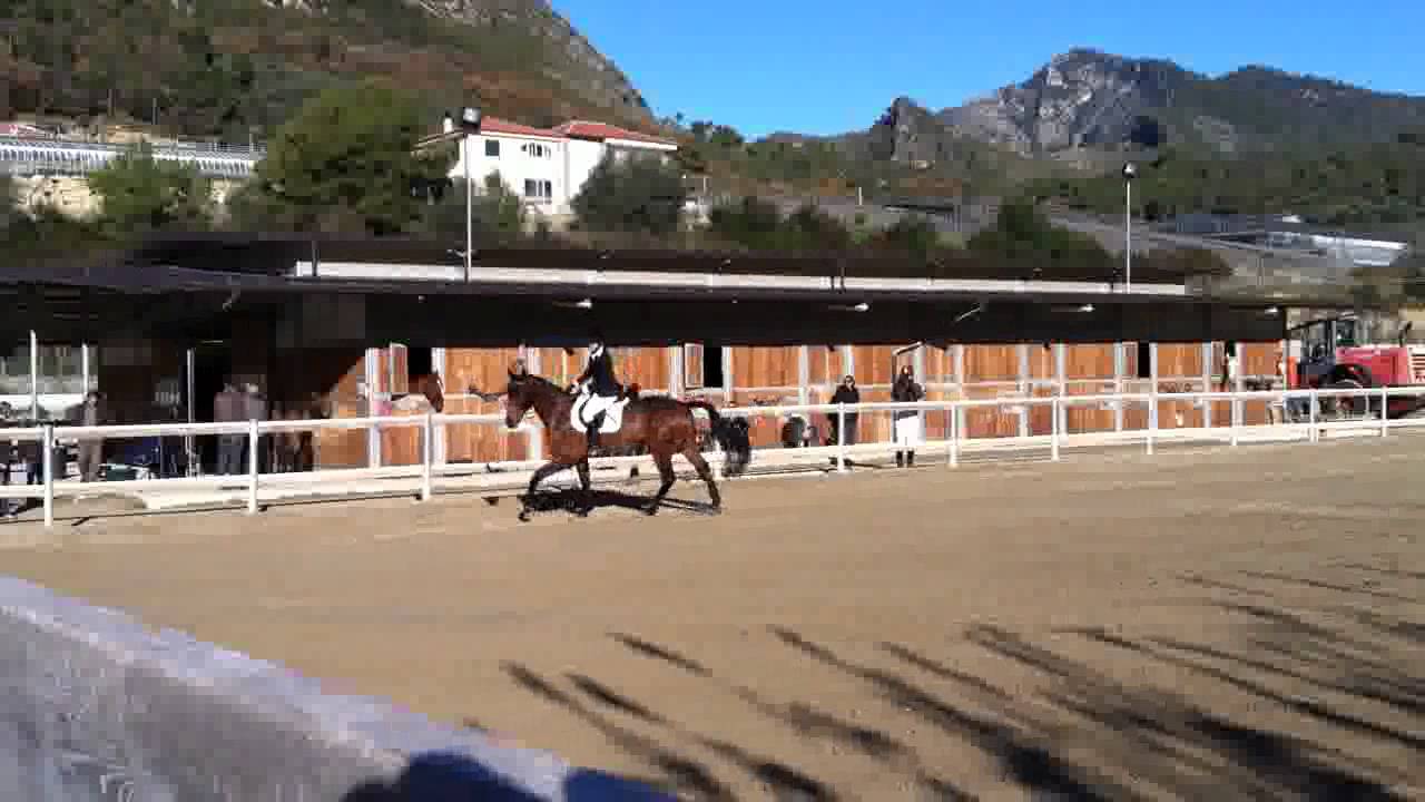 Sire ripresa E80 08gen2012