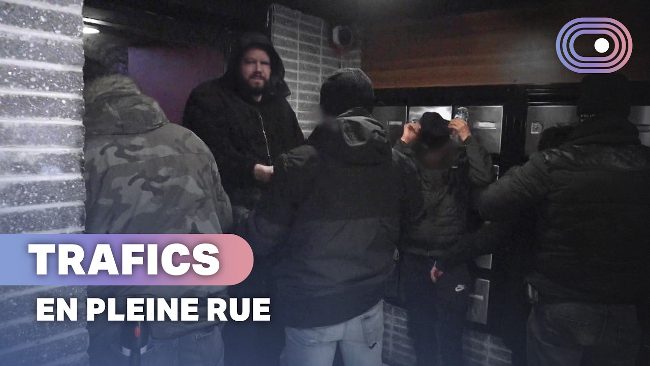 Trafics, vols, violence : Lille, capitale de la délinquance ?