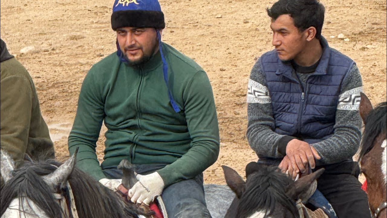 Samarqand  Sharof aka koʻpkarisi 2026.02.16