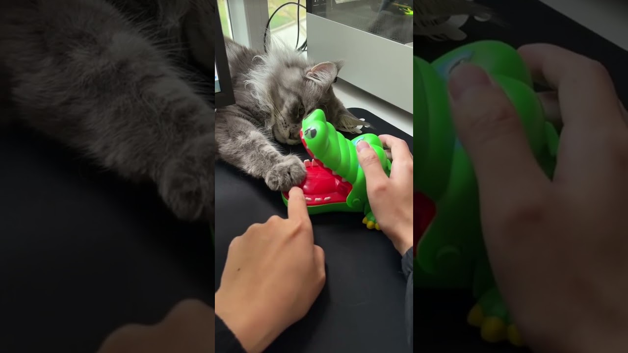 Best kids game toy for birthday parties ( # 1422 )  @MaviGadgets  ▶️ Crocodile Bite Kids Game Toy