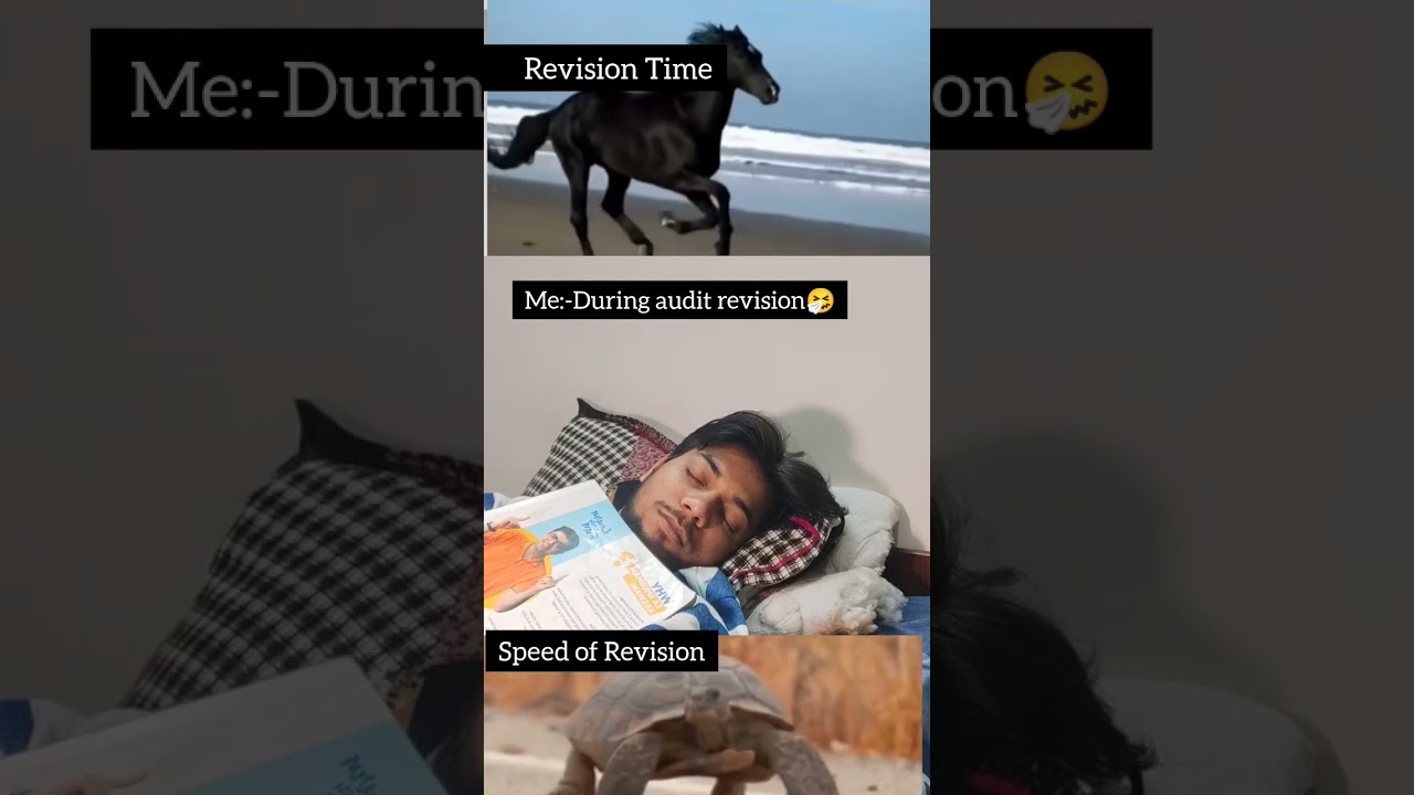 When Audit Exam is Near but Revision is Still Loading 🕛