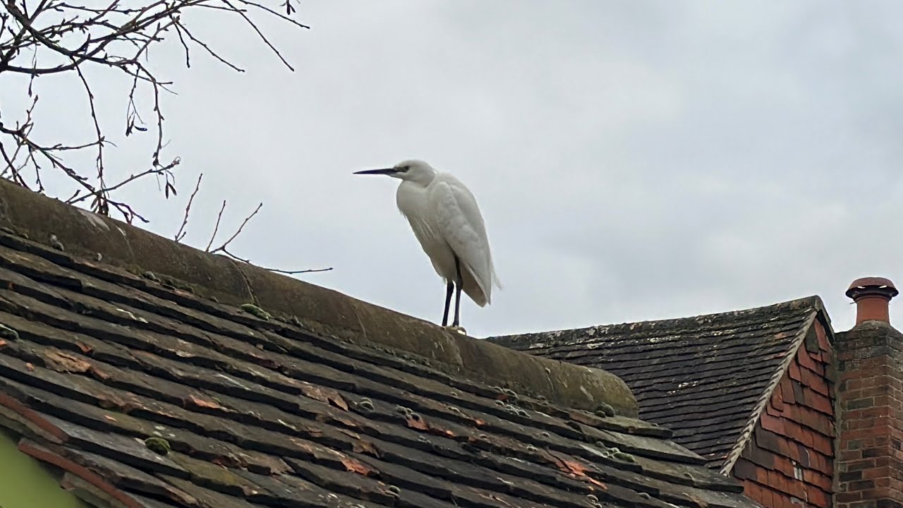 A walk around Old Amersham Town and Memorial Gardens